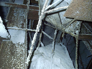 Innards